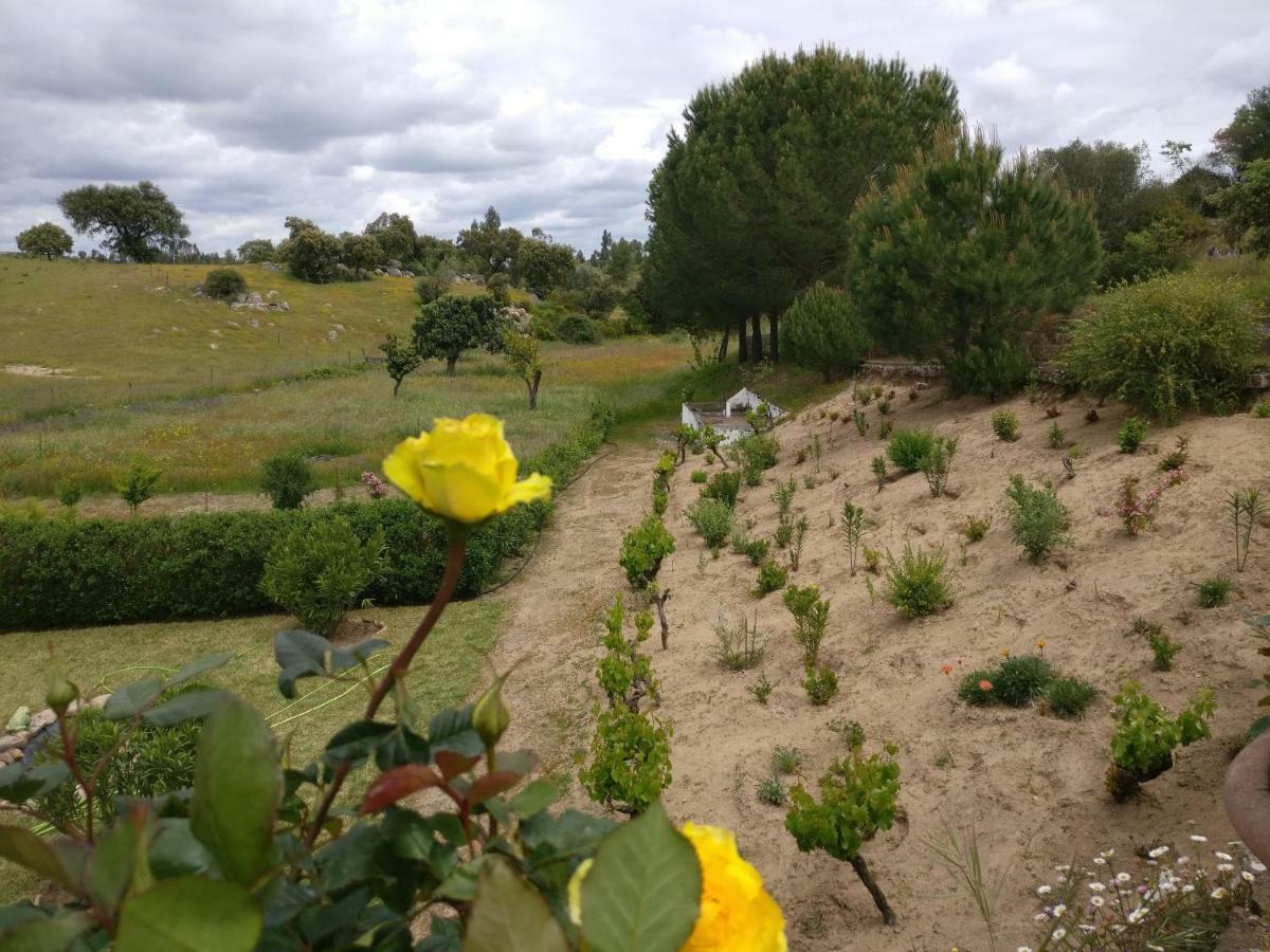 Maison d'hôtes Quinta Da Abrunheira - Gustavo Eiffel à Ciborro Extérieur photo